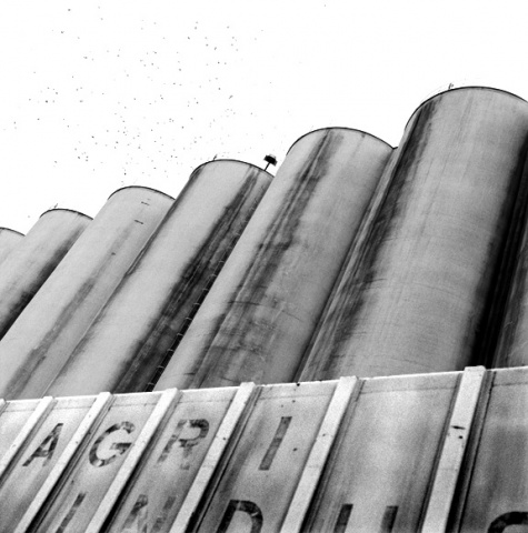 Silo Eight
