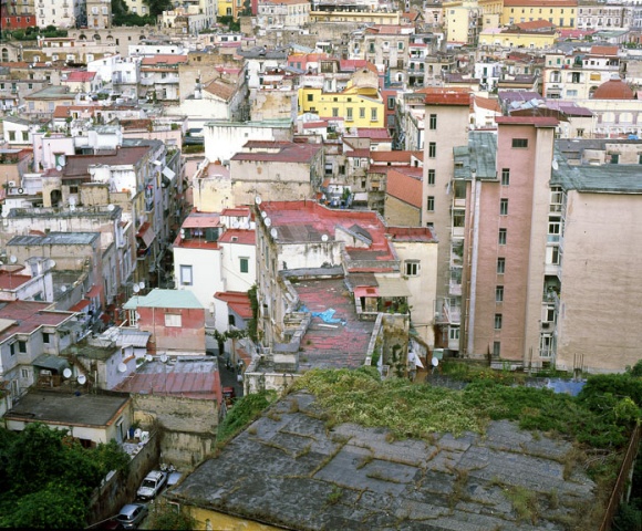 Napoli Study # 5
