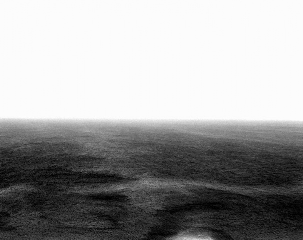 Sea Salema