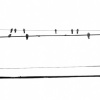 Catharine Eight