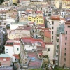 Napoli Study # 5