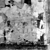 Bullets and Stone Seven