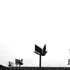 Untitled, March 7, 2009