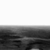 Sea Salema