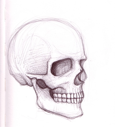 Skull
