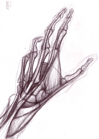 Anatomy Study_001