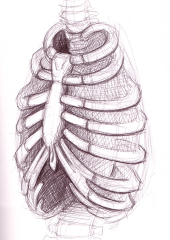 Anatonmy Study_002