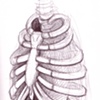 Anatonmy Study_002