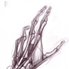 Anatomy Study_001