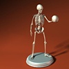 Bone
