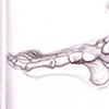 Foot
