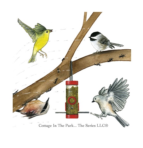 Warbie, Mr. Dee, Titmouse & Nuthatch