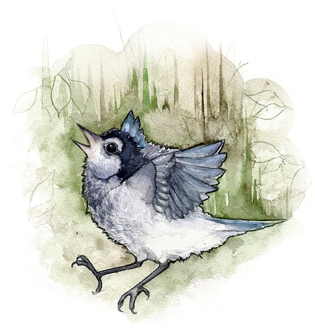 Butch Falling Out Of His Nest