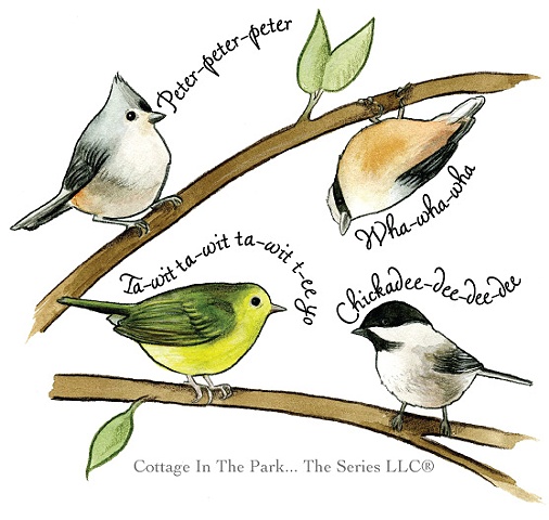 All Four Bird Calls