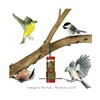 Warbie, Mr. Dee, Titmouse & Nuthatch