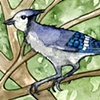 Butch on Branch