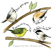 All Four Bird Calls