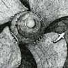 Below