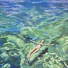 Floating  