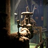 sugar mill