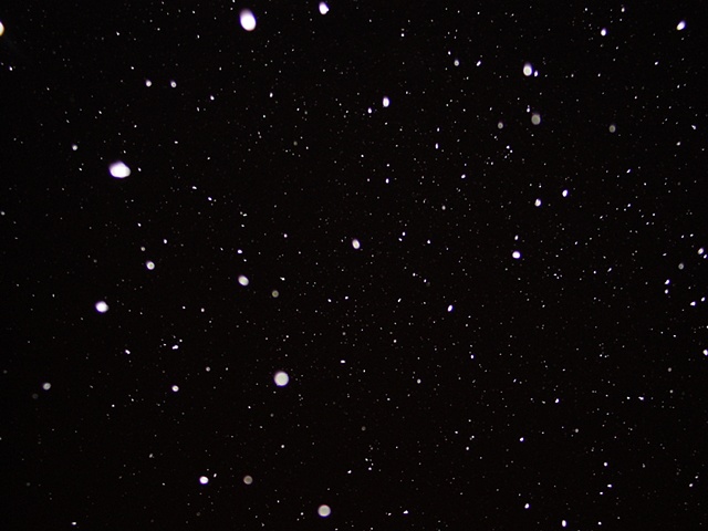 walk night snow