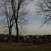 walking composition 2