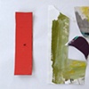 the fly and red blade of grass