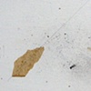 Detail of Seemingly Weighless 9