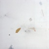 Seemingless Weightless 9