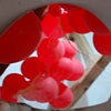 Red_5