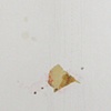 Detail of Seemingly Weightless 5