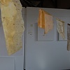 Studio_Parkcity_US