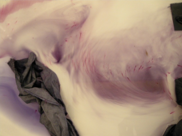 dye bath