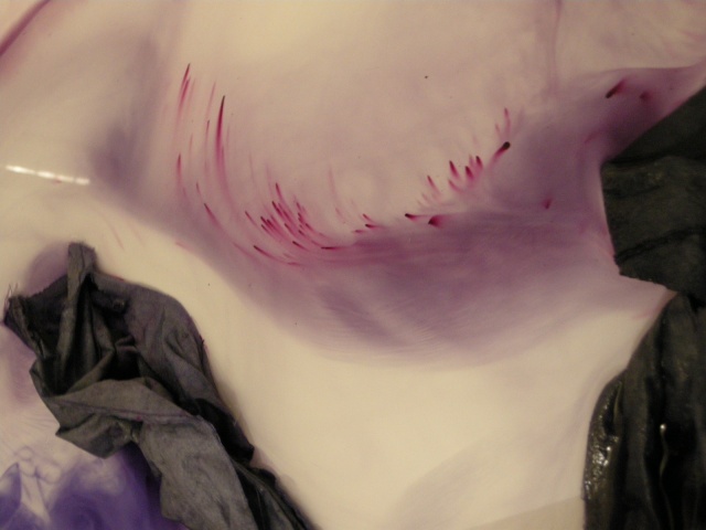 dye bath