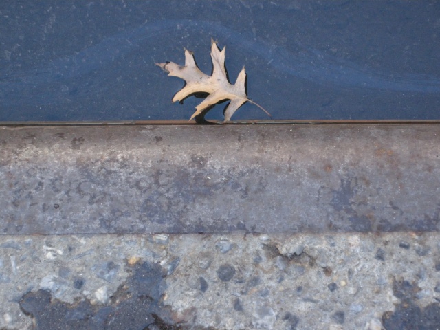 left behind