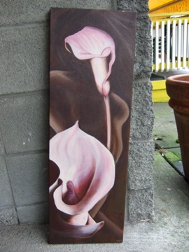 Pink Calla