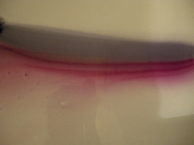 dye bath