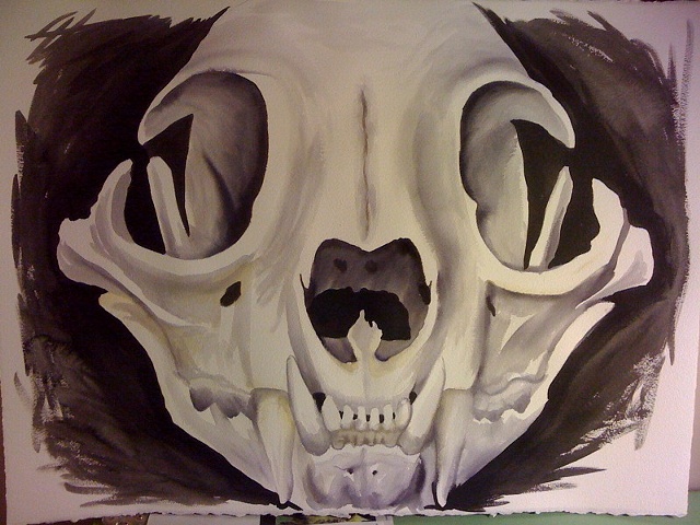 Bobcat Skull for Michael