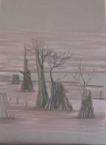 Lavender Bog