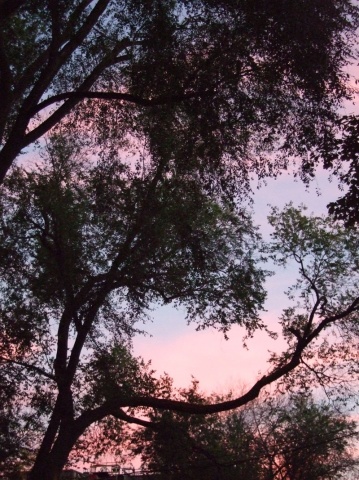 perfect twilight