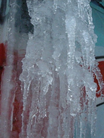 iciles