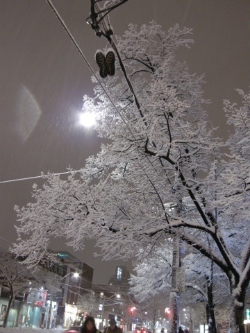 snow light