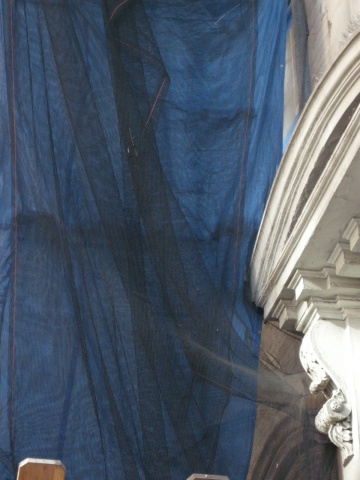 blue in disguise as black