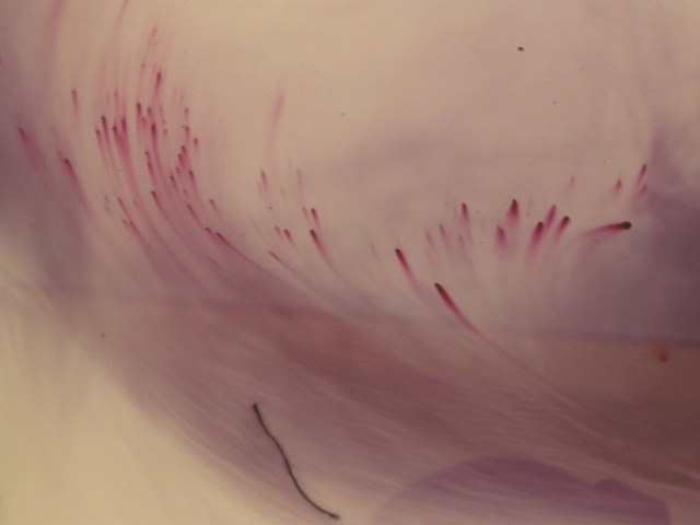 dye bath