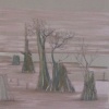 Lavender Bog
