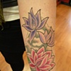 Tibetan lotus'
