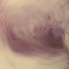 dye bath