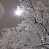 snow light