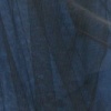 blue in disguise as black