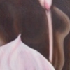 Pink Calla